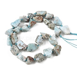 未加工の天然ラリマービーズの連  ナゲット  6~18x6~14x4~10mm  穴：1mm  約28~39個/連  16.73''（42.5cm）〜16.93''（43cm）&nbsp;G-D101-A06-01