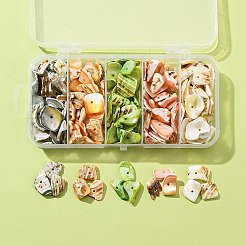 125g 5色天然シェルビーズ連売り  染め  ナゲット  ミックスカラー  10~20x8~12x3~6mm  穴：1mm  25 G /カラー&nbsp;BSHE-FS0001-06B