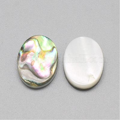 パウアシェルカボション  オーバル  カラフル  16x12x3mm&nbsp;SSHEL-R042-20-1