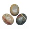 Natural Polychrome Jasper/Picasso Stone/Picasso Jasper Cabochons, Oval, 40x30x7.5~8mm