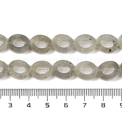 天然石ラブラドライトビーズ連売り  中空のフラット楕円形  ゼロのビーズ  12x10x3.5~4mm  穴：1.2mm  約20個/連  9.61''（24.4センチメートル）&nbsp;G-M439-A05-01