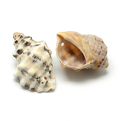 コンクシェルペンダント  22~37x11~25x11~15mm  穴：1mm  約110個/425g&nbsp;LS-SSHEL-Q299-006