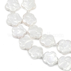 電気メッキシェルパールビーズ連売り  花  パールカラーの  ホワイト  10x10x3mm  穴：0.8mm  約37個/連  15.20''（38.6センチメートル）&nbsp;BSHE-Z009-07-01