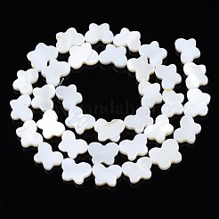 天然淡水シェルビーズ連売り  蝶  貝殻色  8~9x11~12x2.5~3.5mm  穴：0.8mm  約37~39個/連  14.57インチ〜15.35インチ（37cm〜39cm）&nbsp;SHEL-T009-A17-01