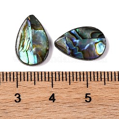 天然パウア貝エポキシ樹脂カボション  ティアドロップ  15x9.5x2.5mm&nbsp;SSHEL-S279-01E
