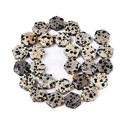 天然石ダルメシアンジャスパービーズ連売り  多面カット六角形  シードビーズで  11.5~12.5x13~14x4~5.5mm  穴：1~1.2mm  約26~28個/連  14.37~15.75インチ（36.5~40cm）&nbsp;G-N368-01A-03