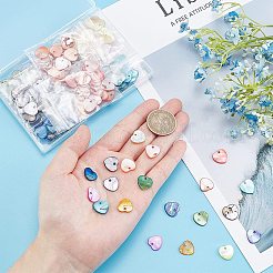 200 個 10 色の天然淡水シェルチャーム  染め  ハート  ミックスカラー  12.5x13x2mm  穴：1.5mm  20個/カラー&nbsp;SHEL-BC0001-014