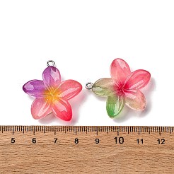 透明樹脂ペンダント  花  プラチナ鉄ループ付き  ミックスカラー  29~30.5x27~30x6.5mm  穴：2mm&nbsp;RESI-A046-05F