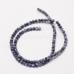 天然石ソーダライトラウンドビーズ連売り  4mm  穴：0.8mm  約85~90個/連  15インチ&nbsp;X-G-P072-27-4mm