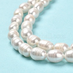 天然養殖淡水パールビーズ連売り  ライス  グレードA +  貝殻色  8.5~10.5x6.5~7.5mm  穴：0.7mm  約35~39個/連  13.19 ~13.58''（33.5~34.5センチメートル）&nbsp;PEAR-E016-181A