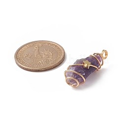 天然アメジスト銅線巻きペンダント  ナゲットチャーム  ゴールドカラー  24~44x8~15x5~15.5mm  穴：2.5~4mm&nbsp;PALLOY-JF01980-01