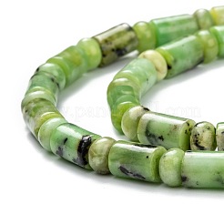 天然石蛇紋岩ビーズ連売り  列と紋章  ロンデル：6.3~6.5x3.5~4mm  コラム：6~6.2x7.5~9.5mm  穴：1mm  約63個/連  16.14~16.34インチ（41~41.5cm）&nbsp;G-C074-01