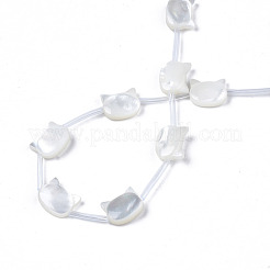 天然ホワイトシェルビーズ連売り  猫  8x10x3~4mm  穴：0.5~0.6mm  約20個/連  16.30インチ〜17.52インチ（41.4cm〜44.5cm）&nbsp;SSHEL-S278-124A