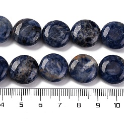 天然石ソーダライトビーズ連売り  フラットラウンド  16x6.5~7mm  穴：1.2mm  約25個/連  14.96~15.35インチ（38~39cm）&nbsp;G-C159-A09-01
