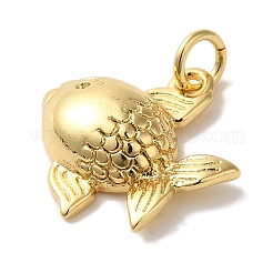 魚ラックメッキ真鍮ペンダント  丸カン付き  カドミウムフリー＆鉛フリー  長持ちメッキ  18KGP本金メッキ  17x16.5x4.5mm  穴：3mm&nbsp;KK-U027-35G