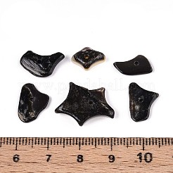 天然ブラックリップシェルビーズ連売り  チップ  5~31x5~31x1.5~6mm  穴：0.6mm  約133~144個/連  16.14~16.54インチ（41~42cm）&nbsp;SSHEL-N040-17