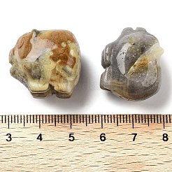 天然のクレイジーアゲート彫刻の置物  ホームオフィスのデスクトップ装飾用  豚  17~19x23~24.5x19.5~21mm&nbsp;DJEW-L023-C08