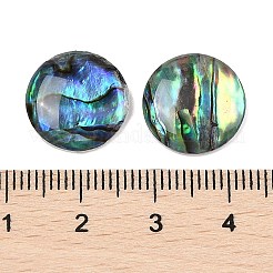 天然パウアシェルカボション  フラットラウンド  14x3mm&nbsp;SSHEL-I026-20B