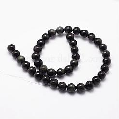 天然の虹色の黒曜石ビーズ連売り  グレードAAA  ラウンド  ブラック  10mm  穴：1mm  約38個/連  38cm&nbsp;G-D838-10mm-04