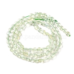 天然石プレナイトビーズ連売り  ファセットスクエアカットコインビーズ  フラットラウンド  4x2.5mm  穴：0.7mm  約111個/連  15.24''（38.7センチメートル）&nbsp;G-C179-A4mm-09