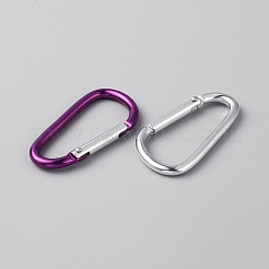 アルミ製クライミングカラビナ  D型キークラスプ  ミックスカラー  56~57x29.5x4mm  内径：47~48x21mm&nbsp;FIND-WH0152-273
