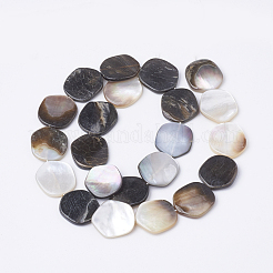 黒リップシェルビーズ連売り  五角形  ブラック  17~18x15~16x2~3mm  穴：1mm  約22個/連  14.9インチ&nbsp;BSHE-T002-02