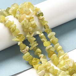 天然なレモンジェイドチップビーズ連売り  5~8x5~8mm  穴：1mm  約31.5インチ&nbsp;G-M205-22