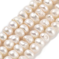 天然養殖淡水パールビーズ連売り  グレード3a+  ロンデル  パパイヤホイップ  5~5.5mm  穴：0.7mm  約43個/連  7.09~ 7.28インチ（18~18.5cm）&nbsp;PEAR-C003-29D