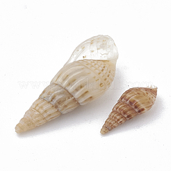 シーシェルビーズ  ドリルなし/穴なしビーズ  桃パフ  8~20x3~7x3~6mm  約2380個/500g&nbsp;SSHEL-S258-04