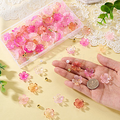 160種類のアクリルビーズキャップ8個  ABSプラスチックビーズ  混合形状  ミックスカラー  5.5~17.5x5.5~18x5mm  穴：1.2~1.8mm  20個/スタイル&nbsp;OACR-TA0004-53B