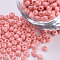 Baking Paint 8/0 Glass Seed Beads, Round, Dark Salmon, 3x1.5~3mm, Hole: 1mm, about 10000pcs/bag, about 450g/bag