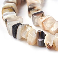 淡水シェルビーズ連売り  正方形のチップ  貝殻色  8~11x6~8x2~5mm  穴：0.6mm  15.7~15.9インチ（40~40.5cm）&nbsp;BSHE-O017-09