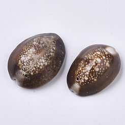 天然のカウリーシェルリンクコネクター  ココナッツブラウン  26~36x17~27x12~17mm  穴：1.4mm  約70個/500g&nbsp;SSHEL-N034-25
