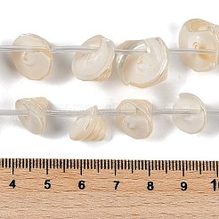 天然石シェルビーズ連売り  円錐  ホワイト  12~19x7.5~15mm  穴：0.1mm  約26個/連  16.73''（42.5センチメートル）&nbsp;X-SHEL-K009-11