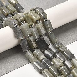 天然石ラブラドライトビーズ連売り  シードビーズで  多面カット  コラム  8.5~11x5.5~6.5mm  穴：1mm  約14~15個/連  7.48''（19センチメートル）&nbsp;G-N327-06-06