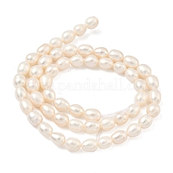 天然養殖淡水パールビーズ連売り  ライス  グレード4a++  ベージュ  5~5.5mm  穴：0.6mm  約55~57個/連  13.98''（35.5cm）〜14.37''（36.5cm）&nbsp;PEAR-D003-01D-15