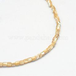 天然トロチッドシェル/トロカスシェルビーズ連売り  オーバル  小麦  3x3mm  穴：1mm  約135~140個/連  15.7インチ&nbsp;SSHEL-R037-23