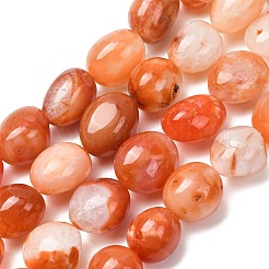 天然レッドボツワナアゲートビーズ連売り  オーバル  19.5~26x14~18.5x11~15mm  穴：1.4~1.5mm  約18~19個/連  15.75~16.73インチ（40~42.5cm）&nbsp;G-G117-A05-06