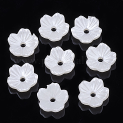 5花弁ABSプラスチックパール調ビーズキャップ  花  乳白色  8x8x3mm  穴：1.5mm&nbsp;OACR-S020-24