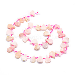 天然石ピンクオパールビーズ連売り  ティアドロップ  12~20x5~15x3~7mm  穴：0.8mm  約24個/連  15.04''（38.2センチメートル）&nbsp;G-E569-R02