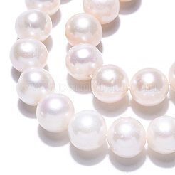 天然養殖淡水パールビーズ連売り  ラウンド  貝殻色  7.5~8.5mm  穴：0.7mm  約51~53個/連  15.08インチ〜15.83インチ（38.3~40.2cm）&nbsp;PEAR-N016-07A