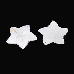 天然淡水貝の彫刻ペンダント  ヒトデのチャーム  貝殻色  33~33.5x34.5~35x3mm  穴：1.6mm&nbsp;SHEL-T020-64