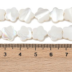 天然淡水シェルビーズ連売り  花  貝殻色  10x10.5x2.5mm  穴：0.8mm  約39~40個/連  14.96''~15.35''（38~39センチメートル）&nbsp;SHEL-K010-01A
