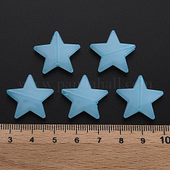 模造ゼリーアクリルビーズ  スター  ライトスカイブルー  20.5x22x5mm  穴：1.8mm  約500個/500g&nbsp;LS-MACR-S373-90-E08