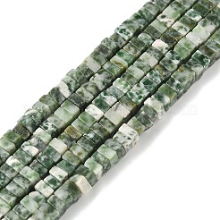 天然グリーンスポットジャスパービーズ連売り  正方形  4x4x2.5~3mm  穴：1mm  約156~164個/連  15.08''（38.3cm）〜15.35''（39cm）&nbsp;G-I394-A04