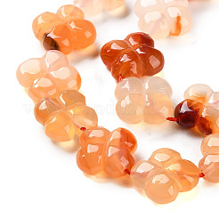 天然石瑪瑙ビーズ連売り  4  - 花びらの花  16x15.5x5.5mm  穴：1mm  約24個/連  2.76''（7センチメートル）&nbsp;G-H024-C01-01