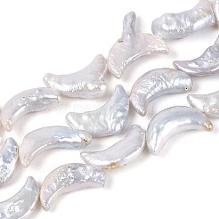 天然バロックケシパールビーズ連売り  有核真珠  ムーン  貝殻色  15.5~25x8~20x3~11mm  穴：0.6mm  約23~26個/連  14.76~15.35インチ（37.5~39cm）&nbsp;PEAR-N020-P06-01A