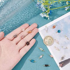 20個 10スタイル 天然混合宝石リンクコネクター  金色の銅線付き  カドミウムフリー＆鉛フリー  チップ  13~19x3.5~8mm  穴：1.5mm  2個/スタイル&nbsp;G-FH0001-57
