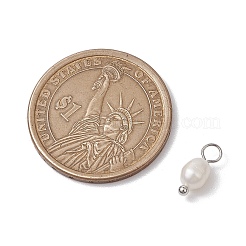 天然淡水真珠ポテトチャーム  真鍮のループを有します  プラチナ  13x4.5mm  穴：2mm&nbsp;PALLOY-JF03202-02