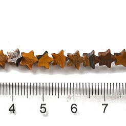 天然石タイガーアイビーズ連売り  スター  6x5.5x2mm  穴：0.8mm  約75個/連  14.57インチ（37cm）&nbsp;G-G085-B03-02